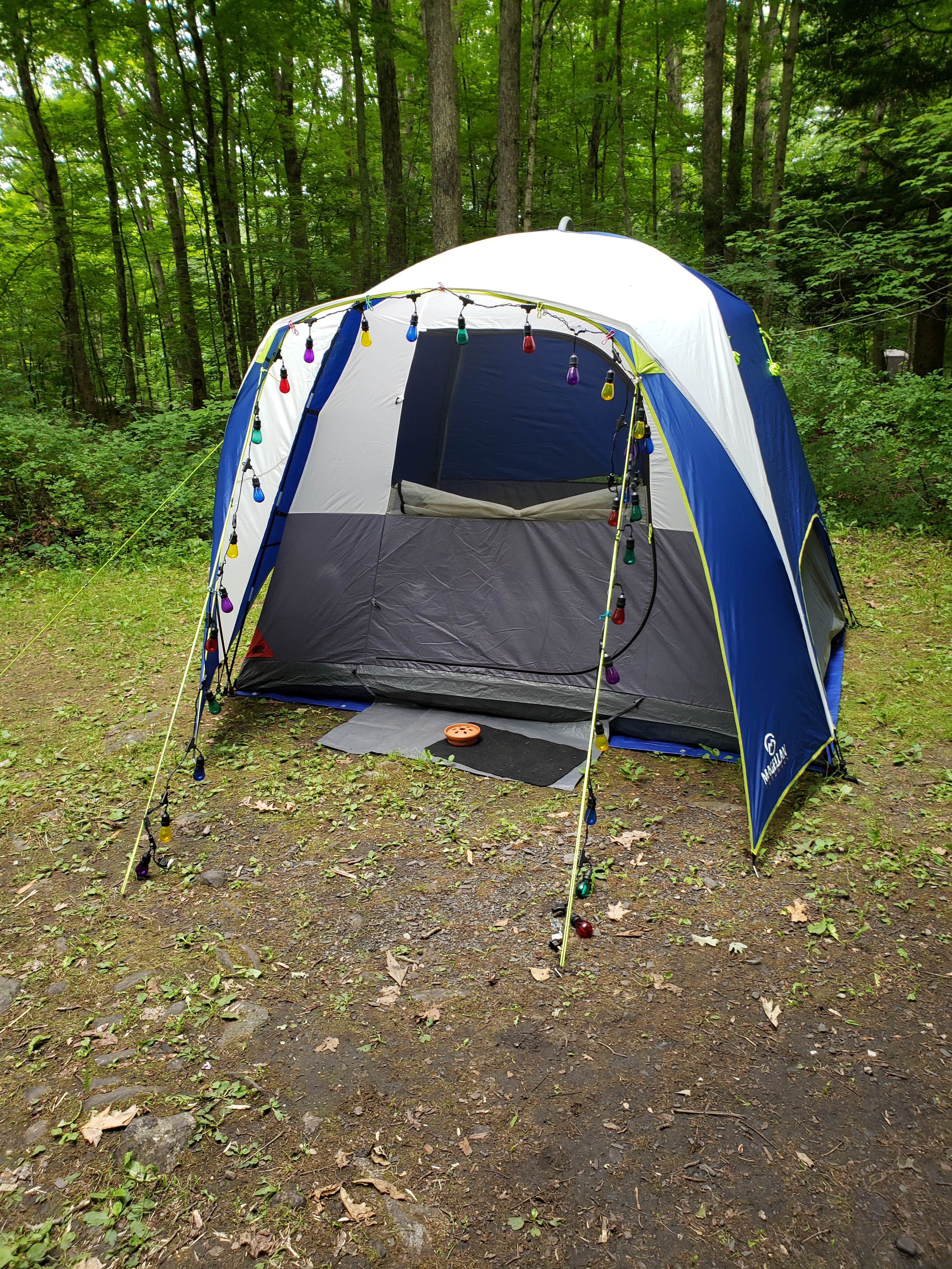 Dwight D.'s photo of tent camping at Steam Mill Campground near Wallpack Center, NJ