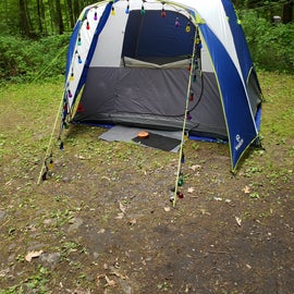 my 9'x7'x6'tall tent