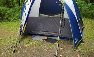 Dwight D.'s photo at Steam Mill Campground in New Jersey