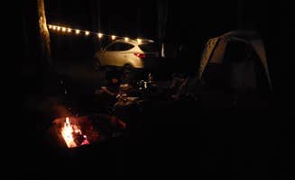 Dwight D.'s photo at Steam Mill Campground near Hardyston, NJ