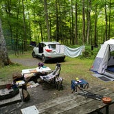 Review photo of Steam Mill Campground by Dwight D., June 30, 2021
