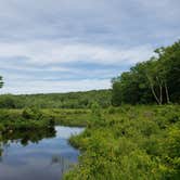 Review photo of Steam Mill Campground by Dwight D., June 30, 2021