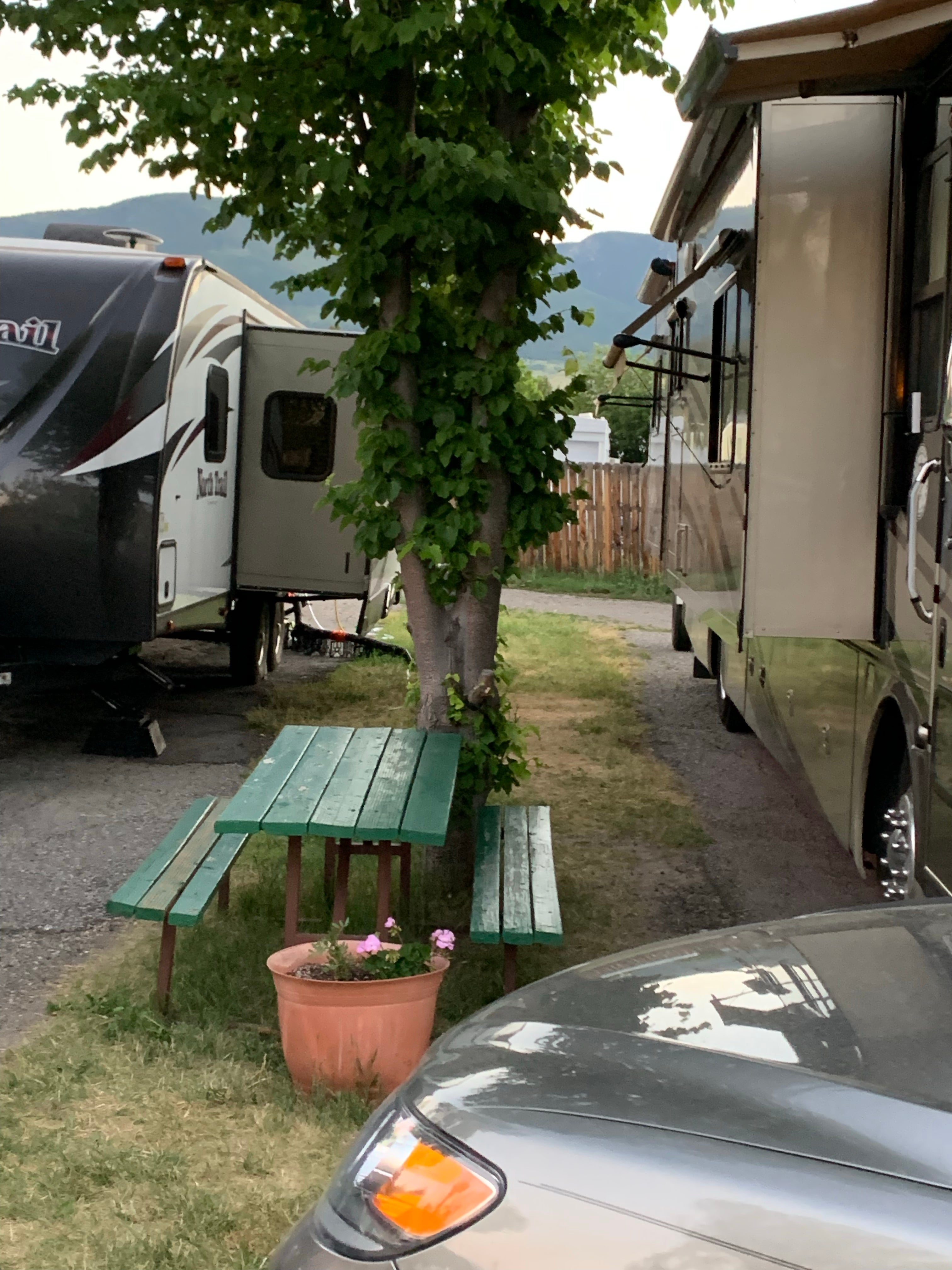 Camper submitted image from Livingston RV Park & Campground - 3