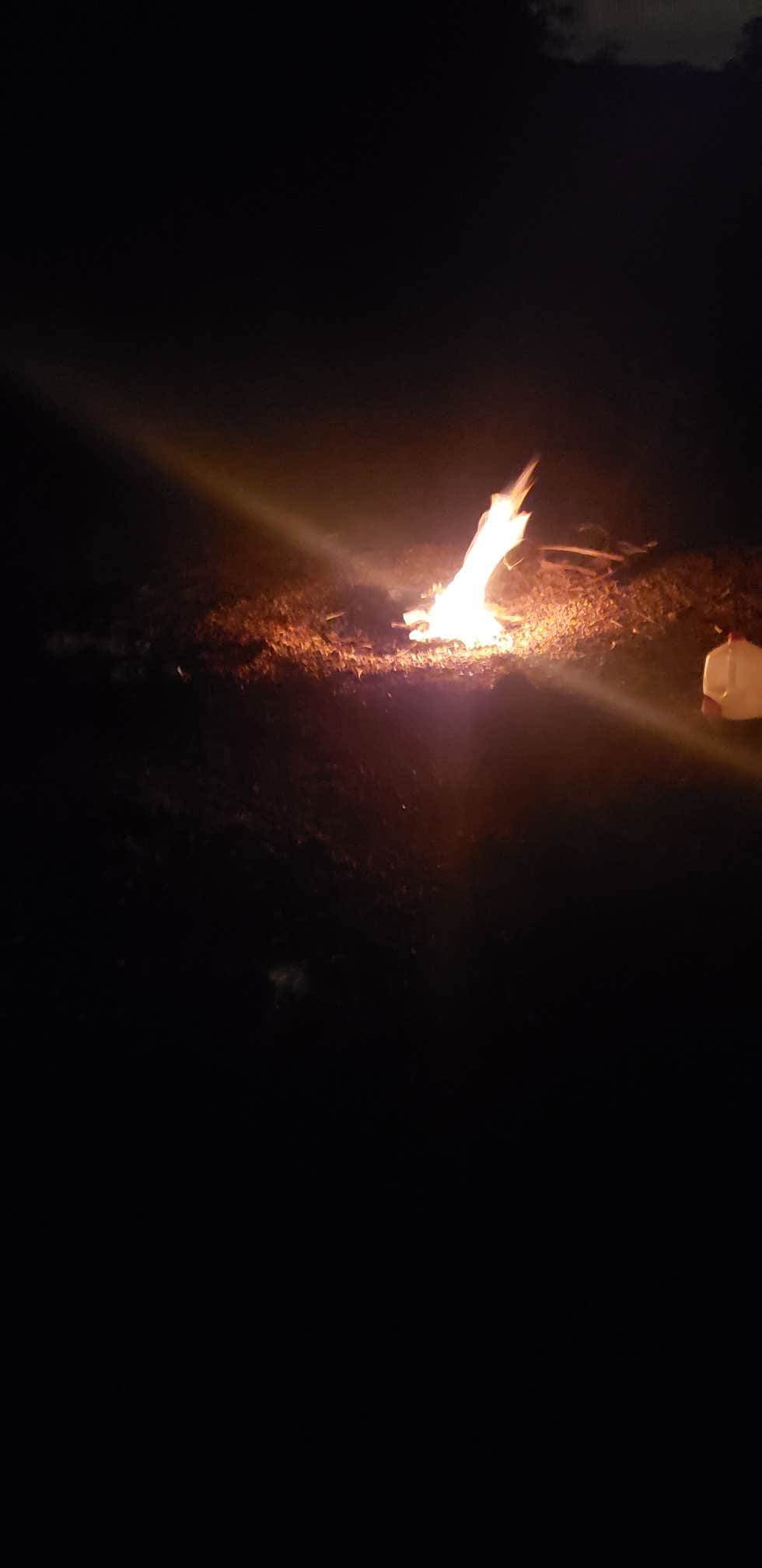 Mount Herman Road Dispersed Camping The Dyrt