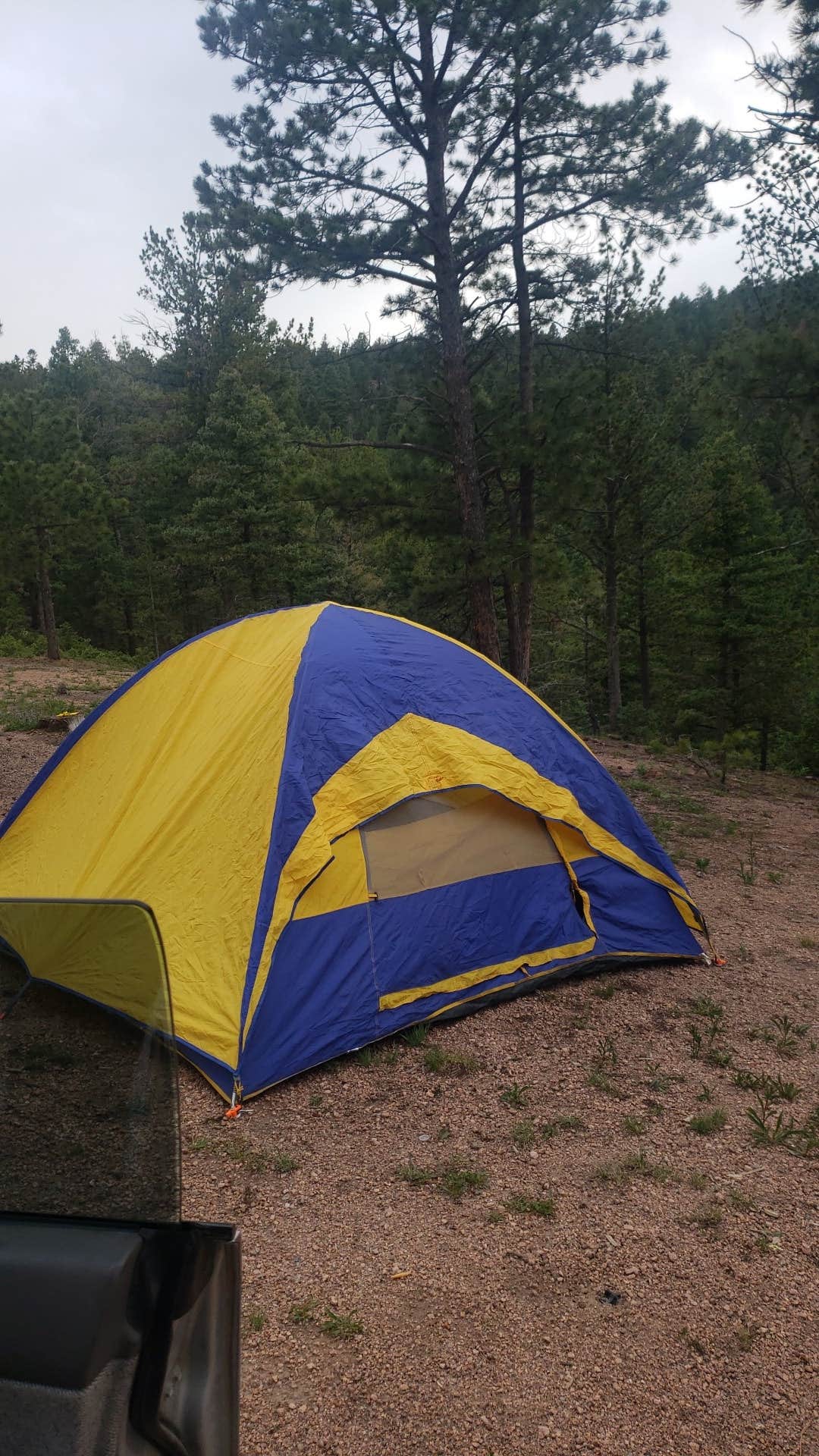 Mount Herman Road Dispersed Camping The Dyrt