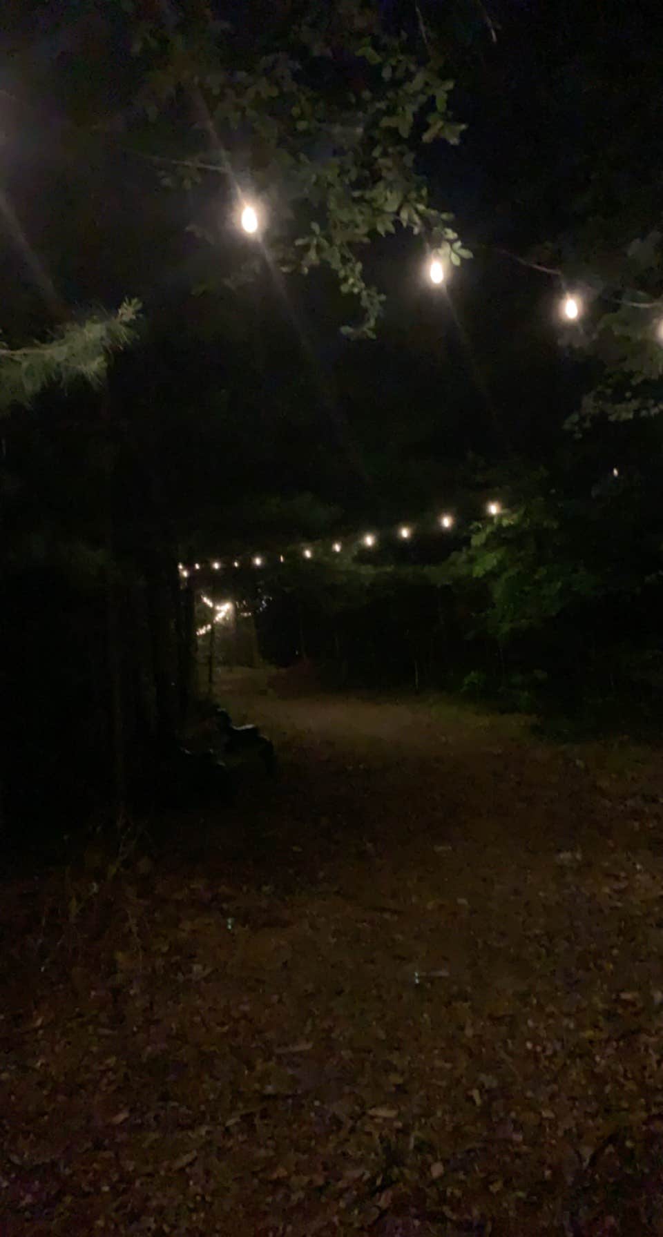 Camper submitted image from Mountain Creek Camp Ground - 3