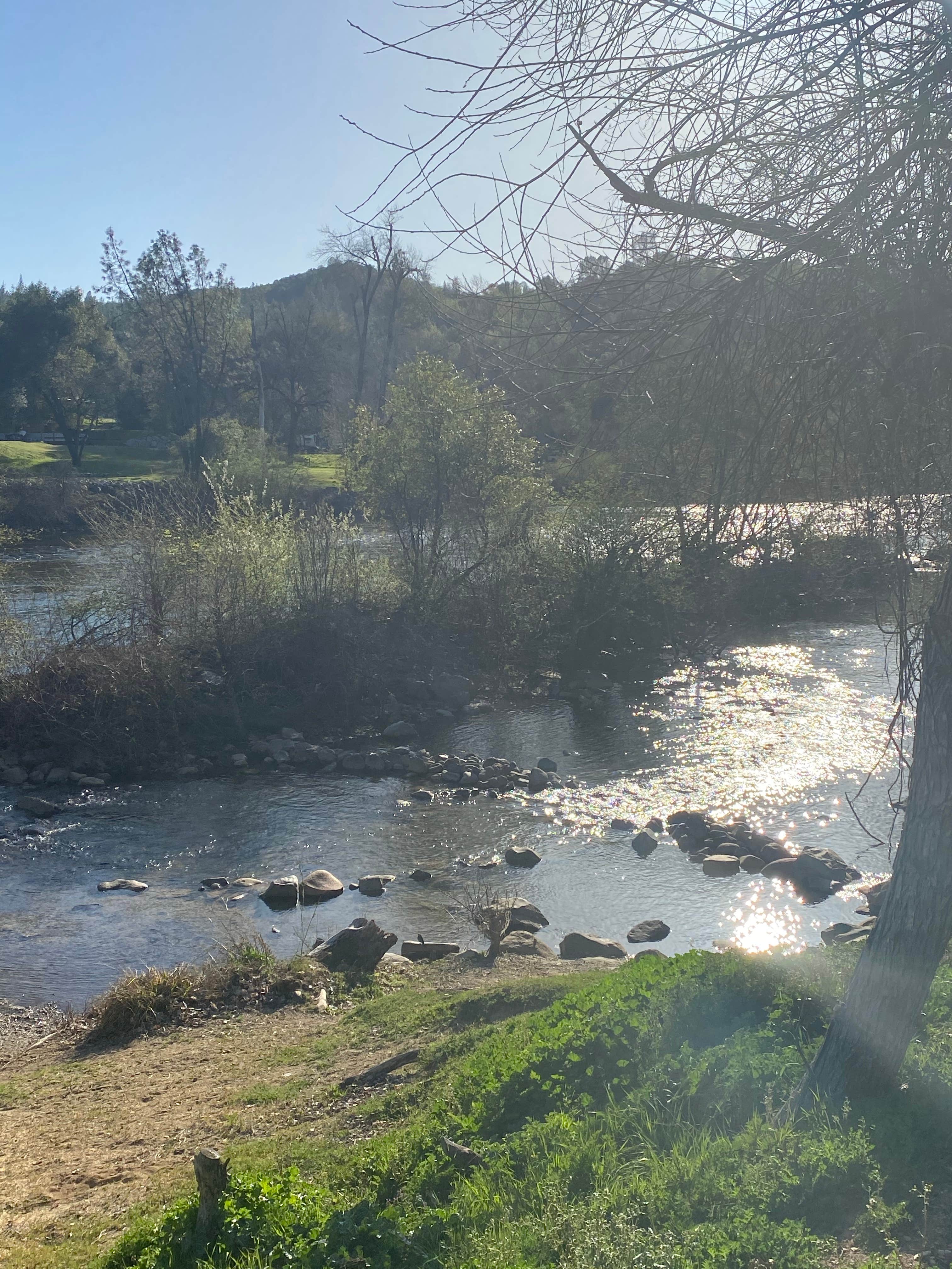 Best camping near Sacramento, California The Dyrt