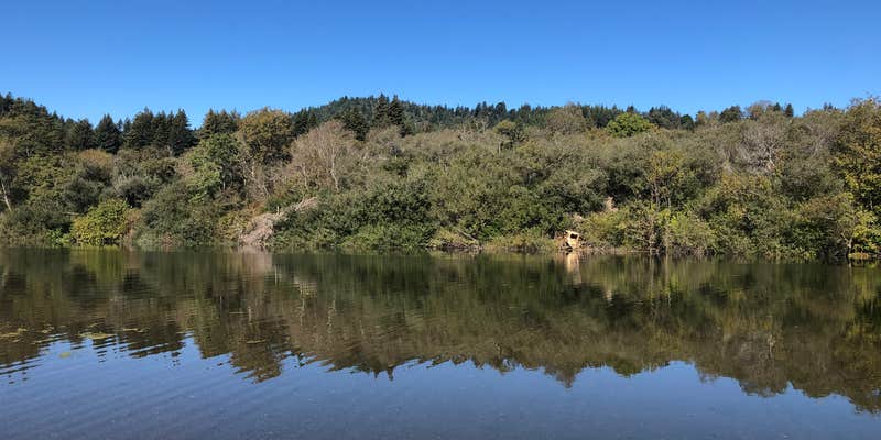 Camper submitted image from Casini Ranch Family Campground