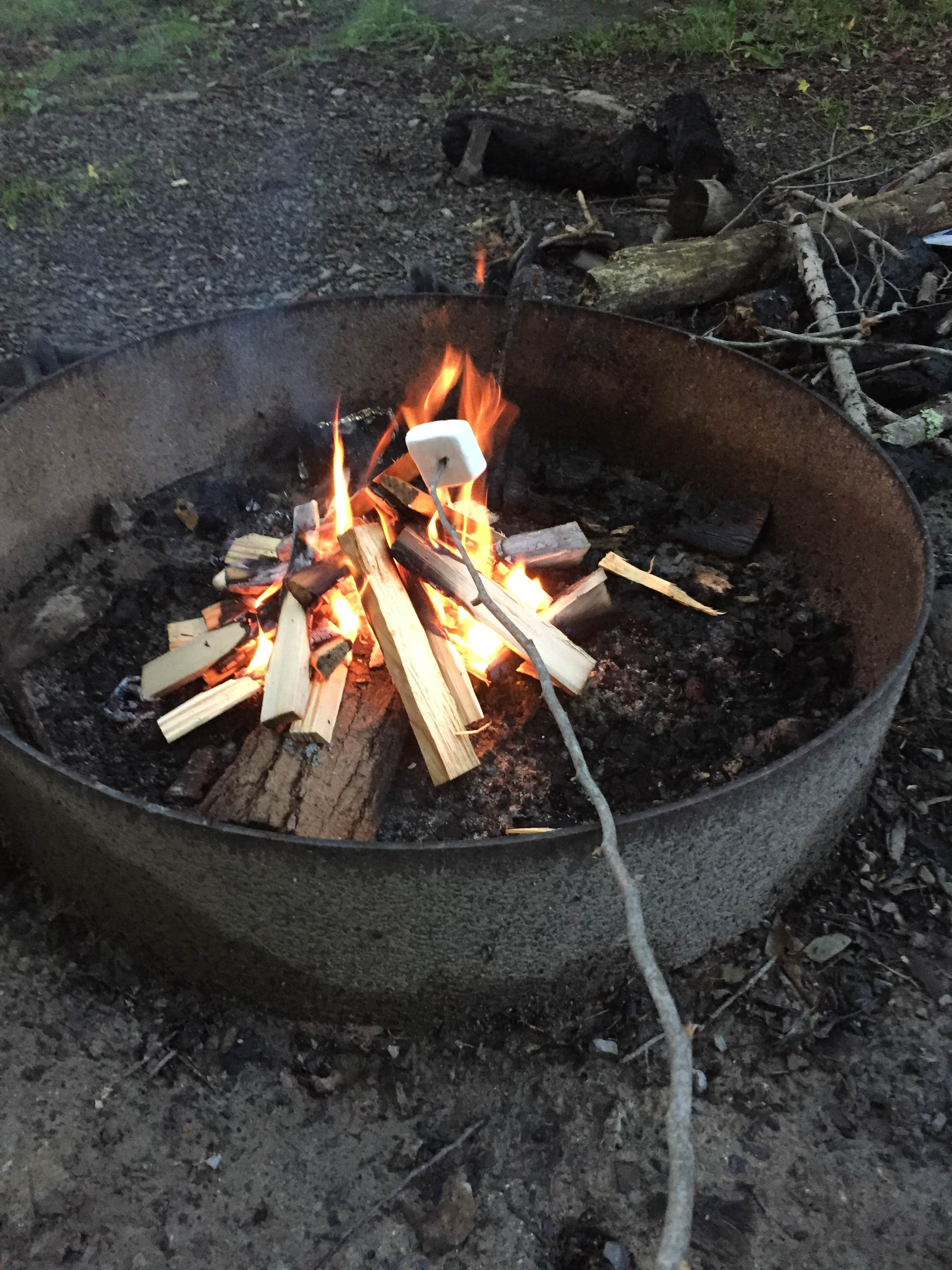 Campfire fun! 