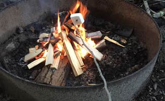 Regina C.'s photo at Canaan Valley Resort State Park Campground near Thomas, WV