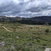 Review photo of Scab Creek - Large Vehicle Campground by Greg L., June 30, 2021