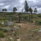 Review photo of Scab Creek - Large Vehicle Campground by Greg L., June 30, 2021