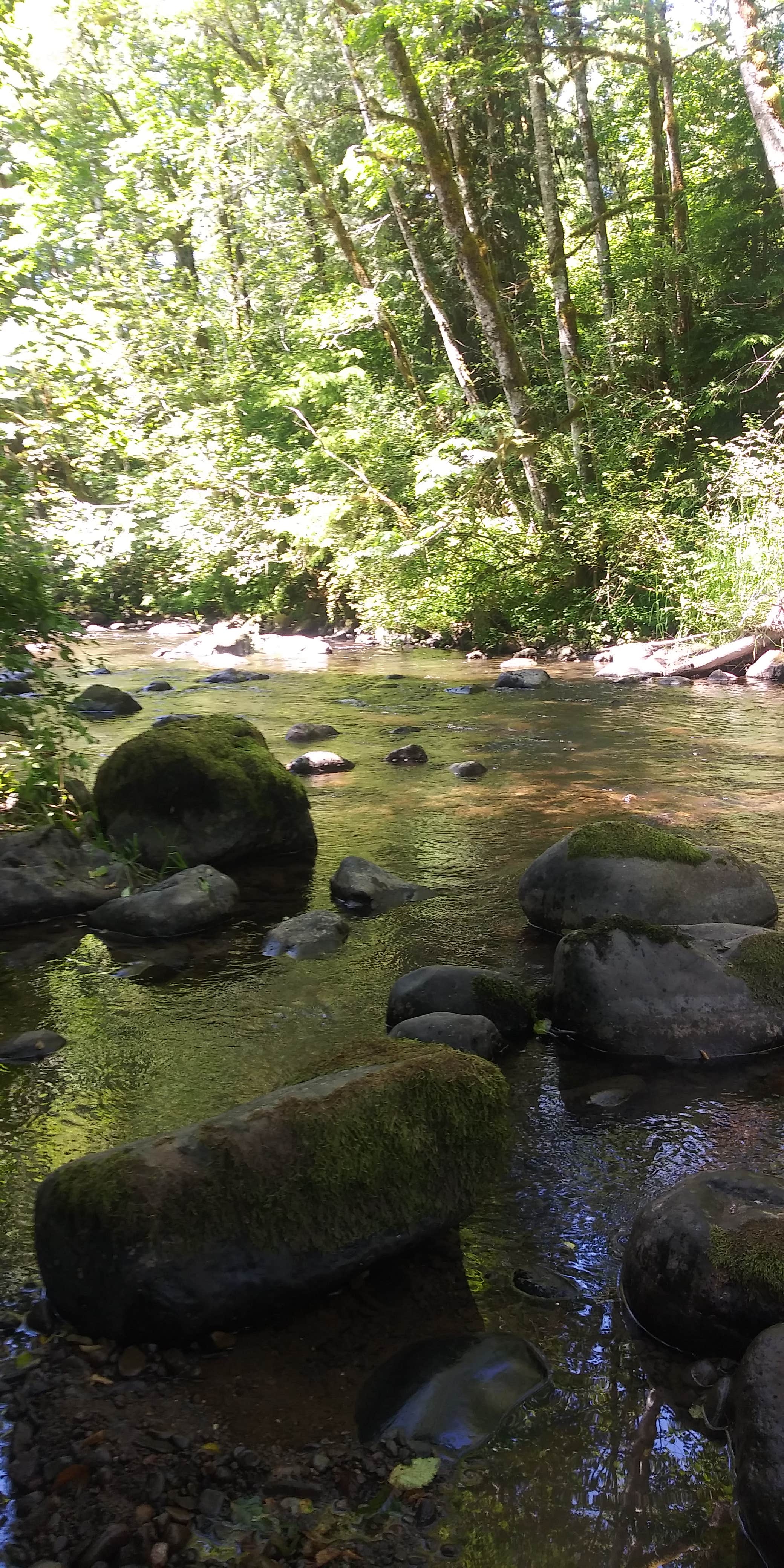 Winston Creek Campground Mossyrock, WA