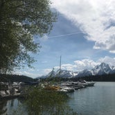 Review photo of Colter Bay Village Campground — Grand Teton National Park by Katherine D., June 12, 2018