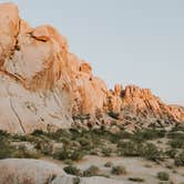 Review photo of Jumbo Rocks Campground — Joshua Tree National Park by Bri L., June 12, 2018