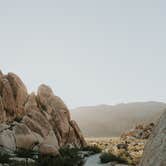 Review photo of Jumbo Rocks Campground — Joshua Tree National Park by Bri L., June 12, 2018