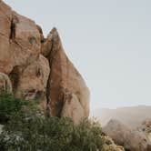 Review photo of Jumbo Rocks Campground — Joshua Tree National Park by Bri L., June 12, 2018