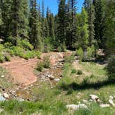 Review photo of Echo Basin Cabin and RV Resort by Amy S., June 30, 2021