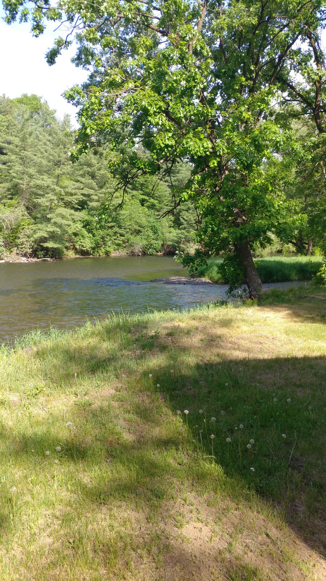 Apple River Family Campground The Dyrt