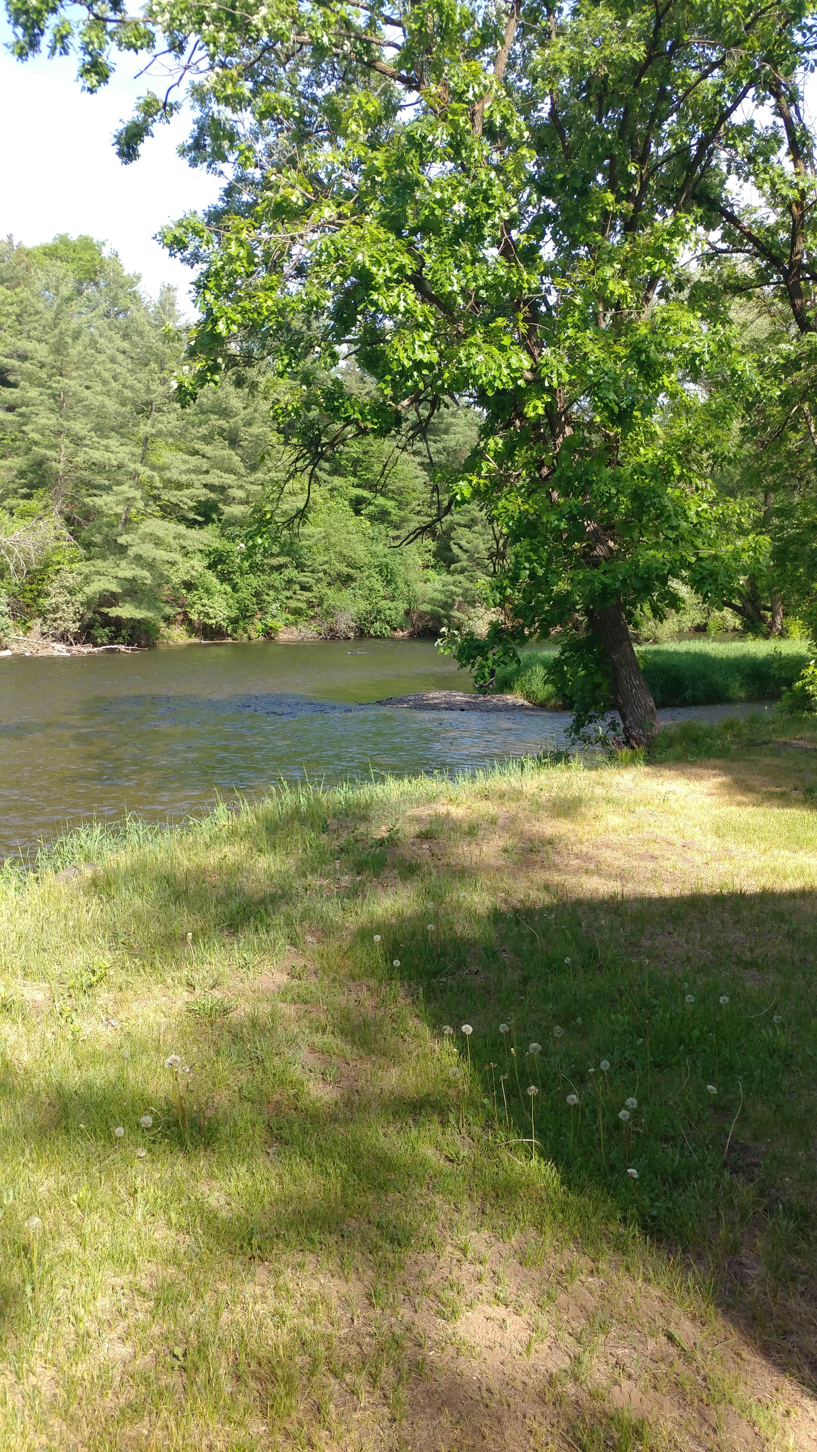 Camper submitted image from Apple River Family Campground - 2