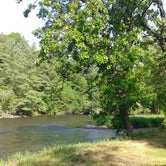 Review photo of Apple River Family Campground by Brad W., June 30, 2021
