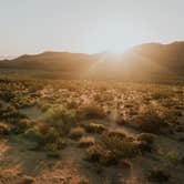 Review photo of Jumbo Rocks Campground — Joshua Tree National Park by Bri L., June 12, 2018