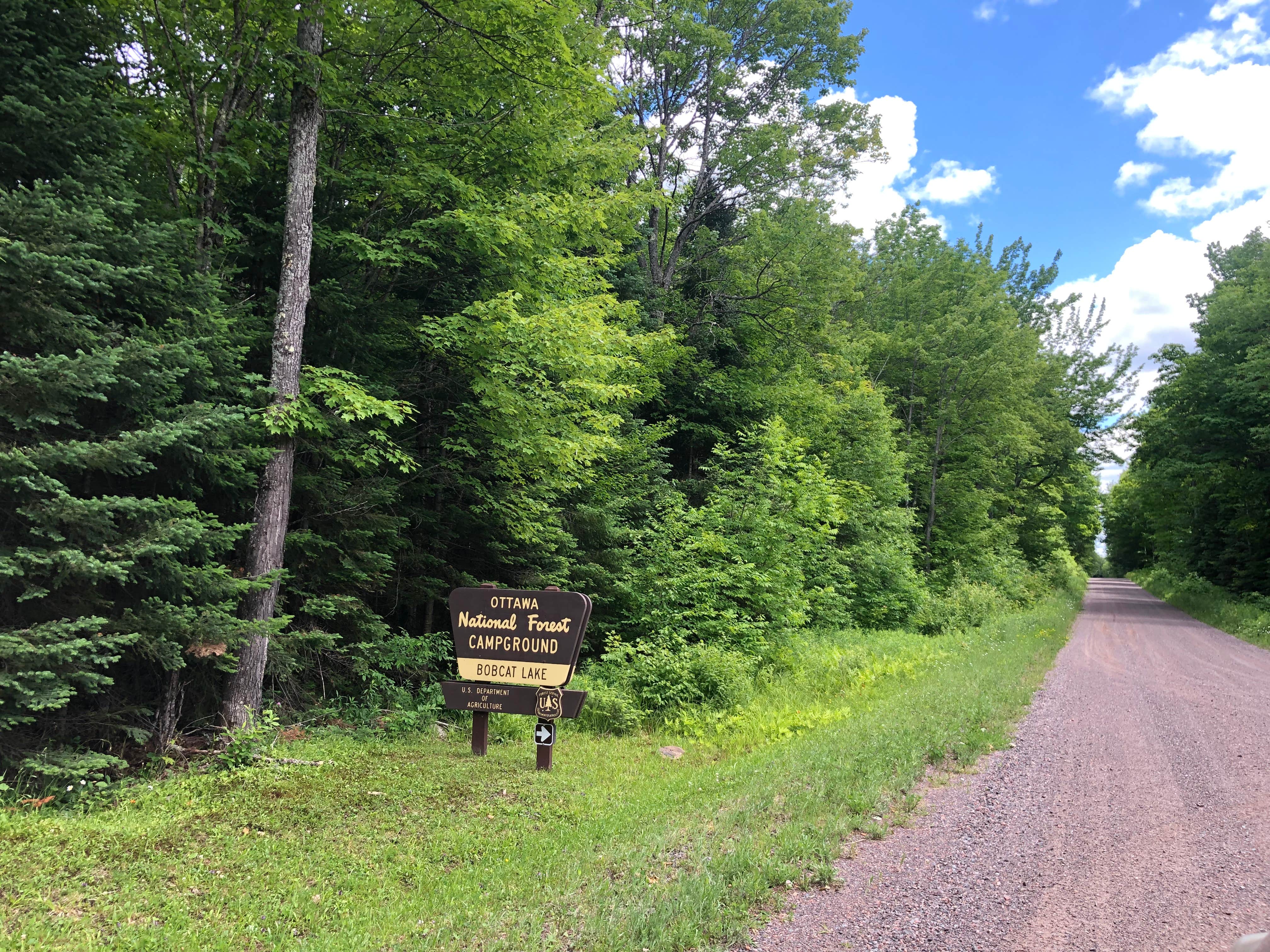 Camper submitted image from Bobcat Lake Camp — Ottawa National Forest - 3