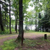 Review photo of Bobcat Lake Camp — Ottawa National Forest by Art S., June 30, 2021