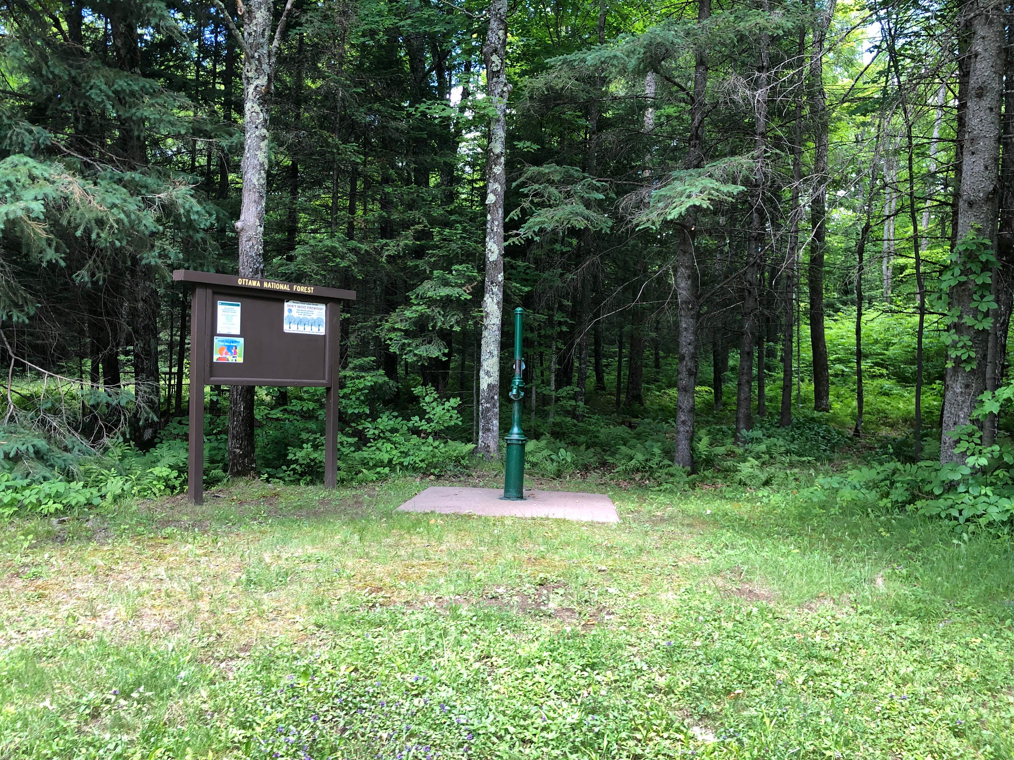 Camper submitted image from Bobcat Lake Camp — Ottawa National Forest - 5