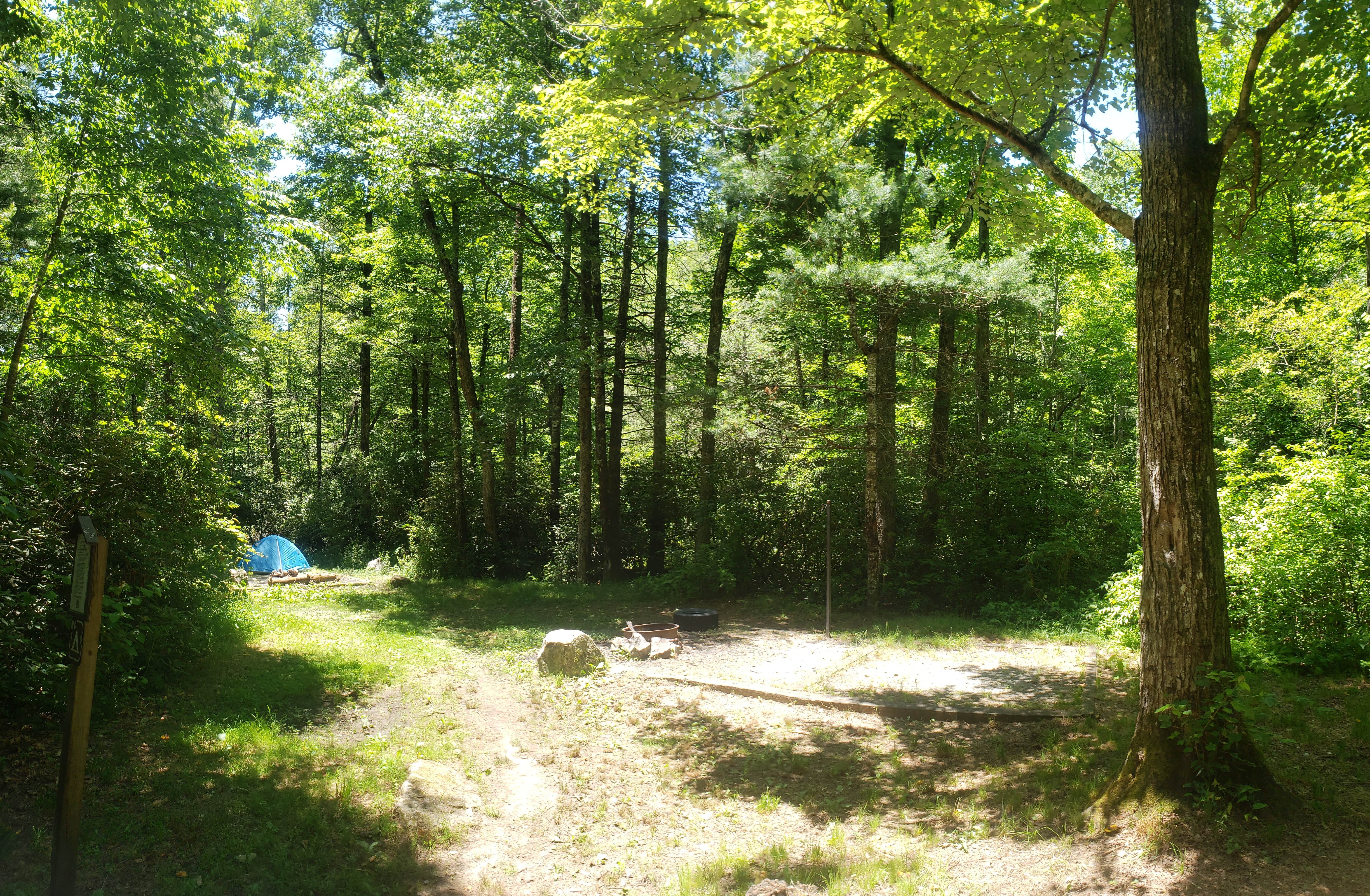 Tucker B.'s photo at Wash Creek Dispersed Campsites #4 and #5 near Hendersonville, NC