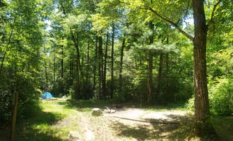 Camping near Lake Powhatan Campground: Wash Creek Dispersed Campsites #4 and #5, Mills River, North Carolina