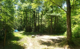 Tucker B.'s photo at Wash Creek Dispersed Campsites #4 and #5 near Asheville, NC