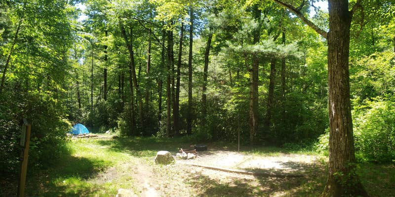 Camper submitted image from Wash Creek Dispersed Campsites #4 and #5