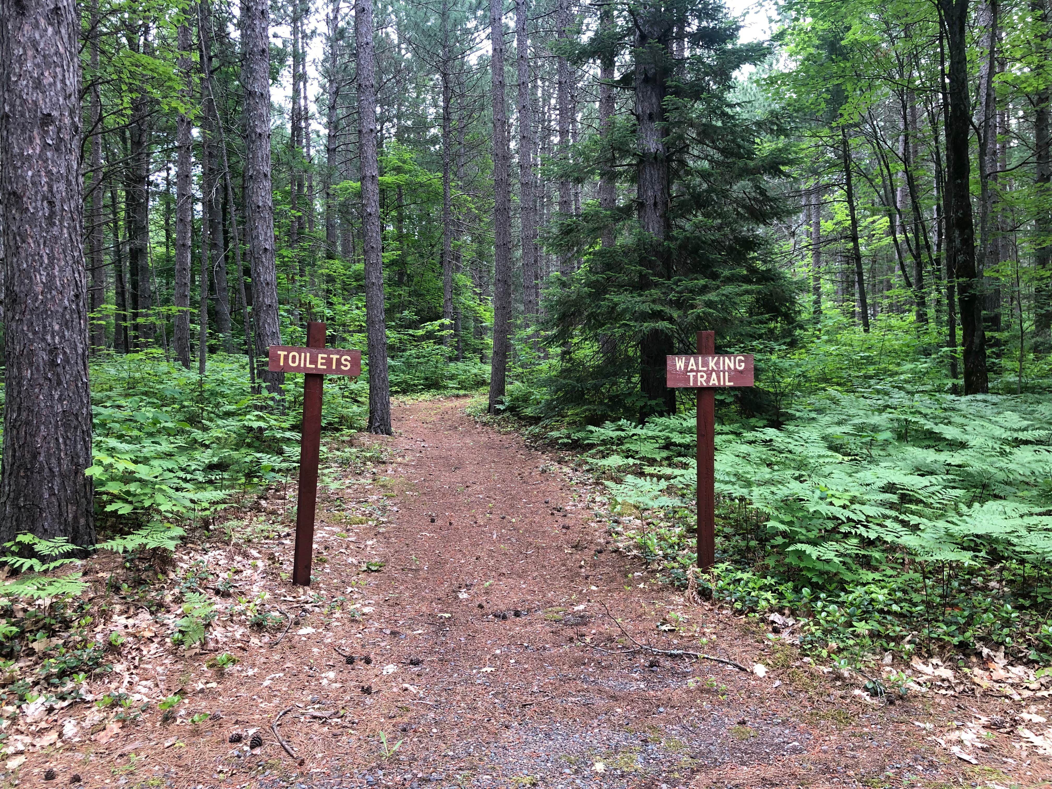 Camper submitted image from Bond Falls Campground - 4