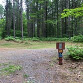 Review photo of Bond Falls Campground by Art S., June 30, 2021