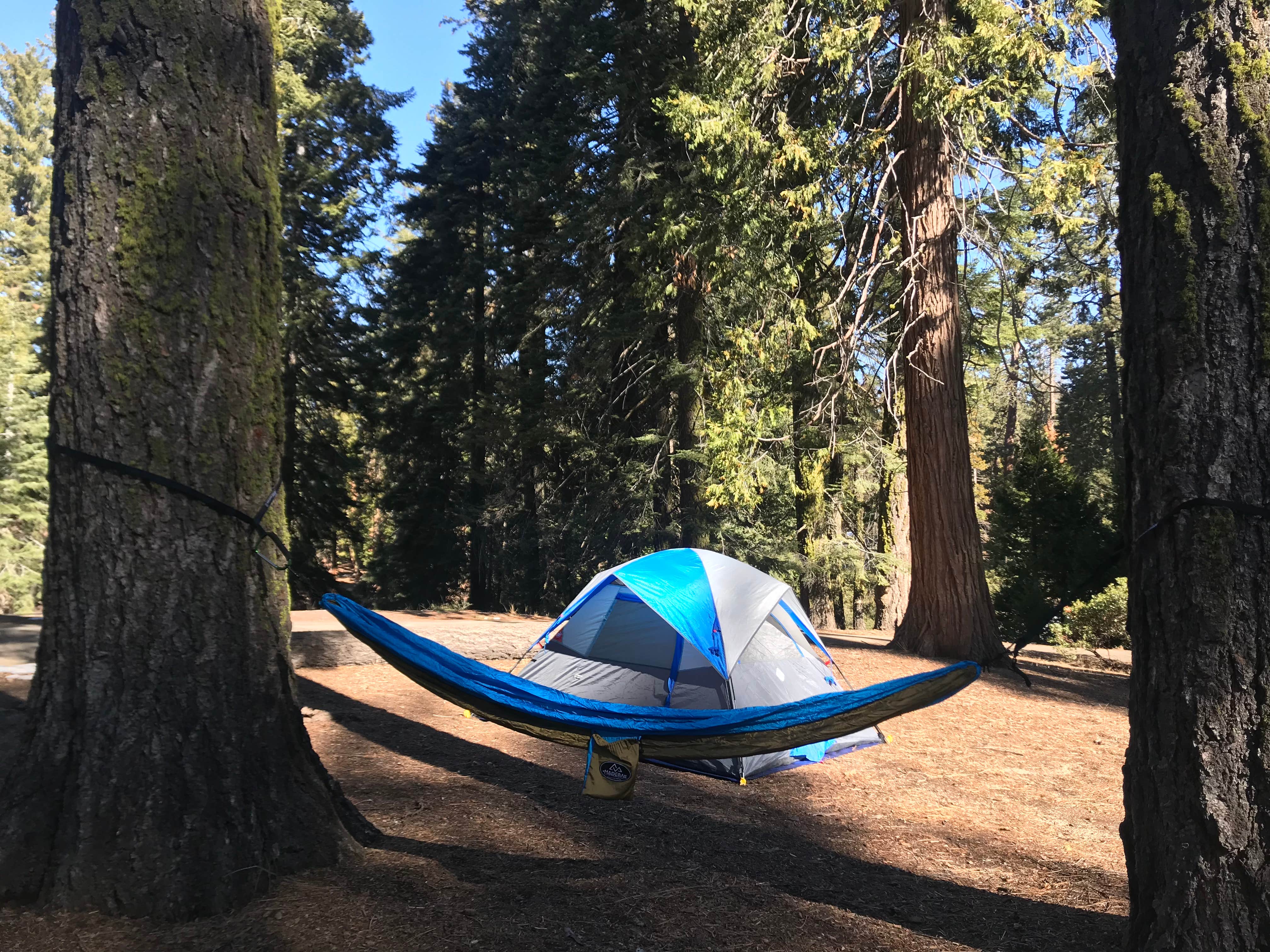 Bri L.'s photo at Azalea Campground — Kings Canyon National Park near Hume, CA