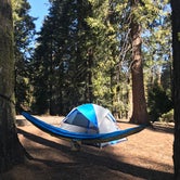 Review photo of Azalea Campground — Kings Canyon National Park by Bri L., June 12, 2018