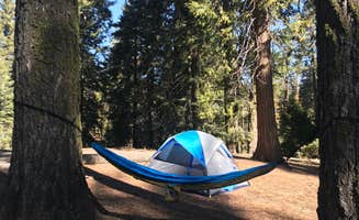 Bri L.'s photo at Azalea Campground — Kings Canyon National Park near Badger, CA