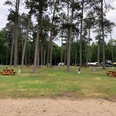 Review photo of Pioneer Trail Park & Campground by Art S., June 30, 2021