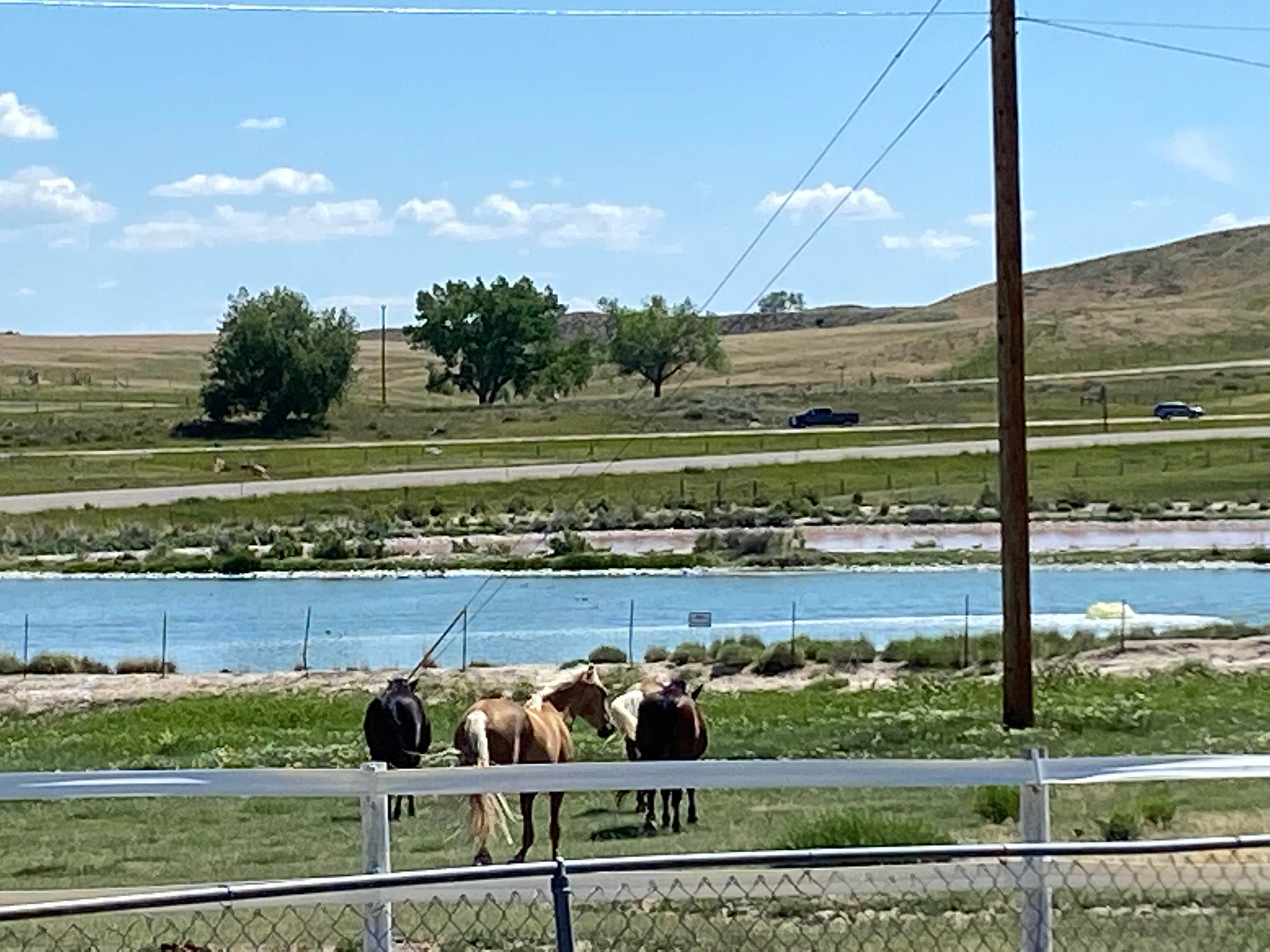 Shannon G.'s photo of camping with a horse at Douglas KOA near Casper, WY