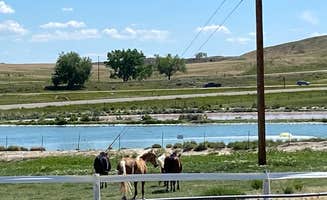 Shannon G.'s photo of camping with a horse at Douglas KOA near Douglas, WY