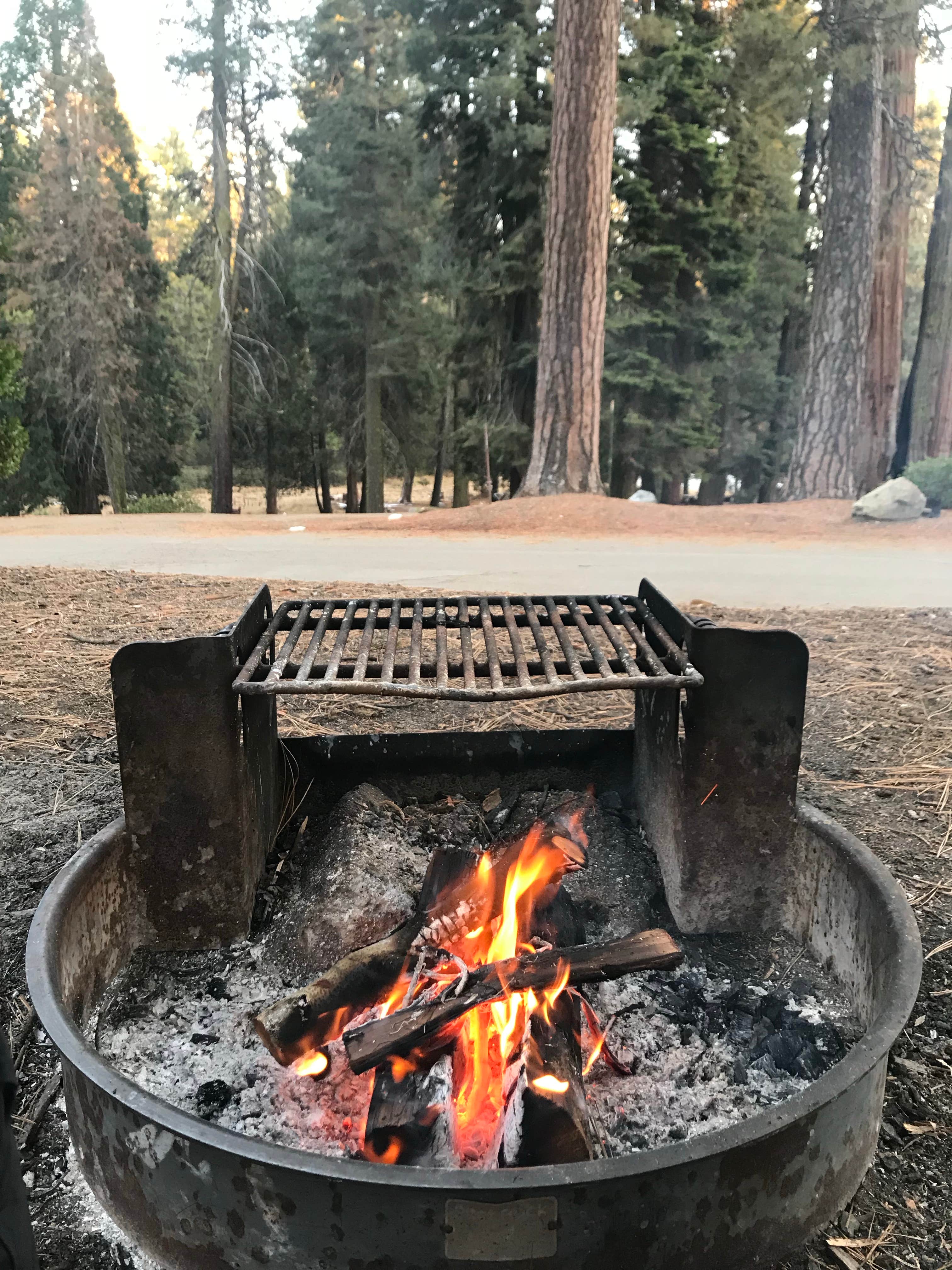 Bri L.'s photo at Azalea Campground — Kings Canyon National Park near Badger, CA