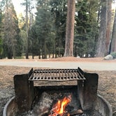 Review photo of Azalea Campground — Kings Canyon National Park by Bri L., June 12, 2018