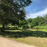 Review photo of Merwin Creek State Forest Campground by Art S., June 30, 2021