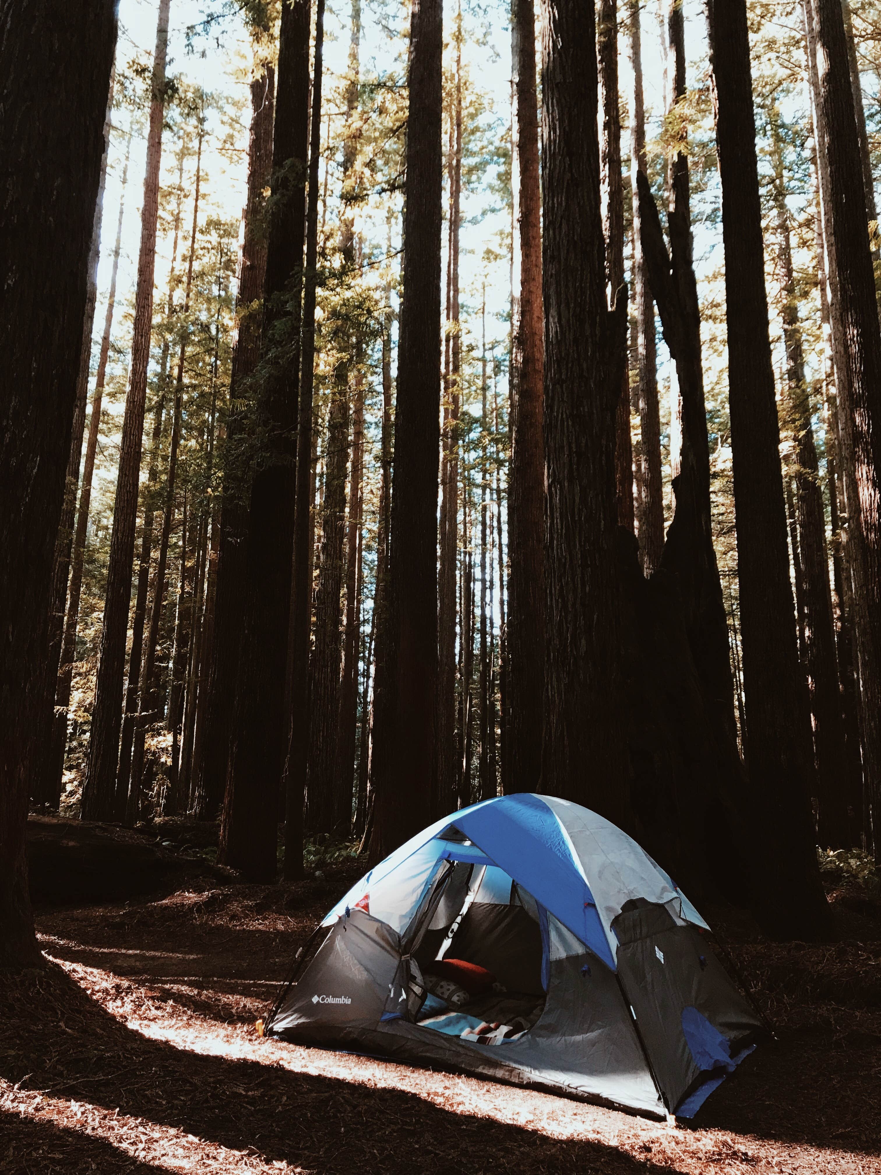 Bri L.'s photo at Florence Keller Regional Park near Smith River, CA