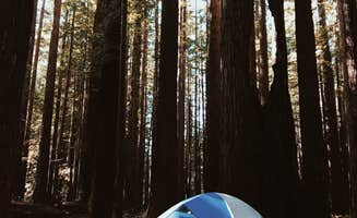 Bri L.'s photo at Florence Keller Regional Park near Smith River, CA