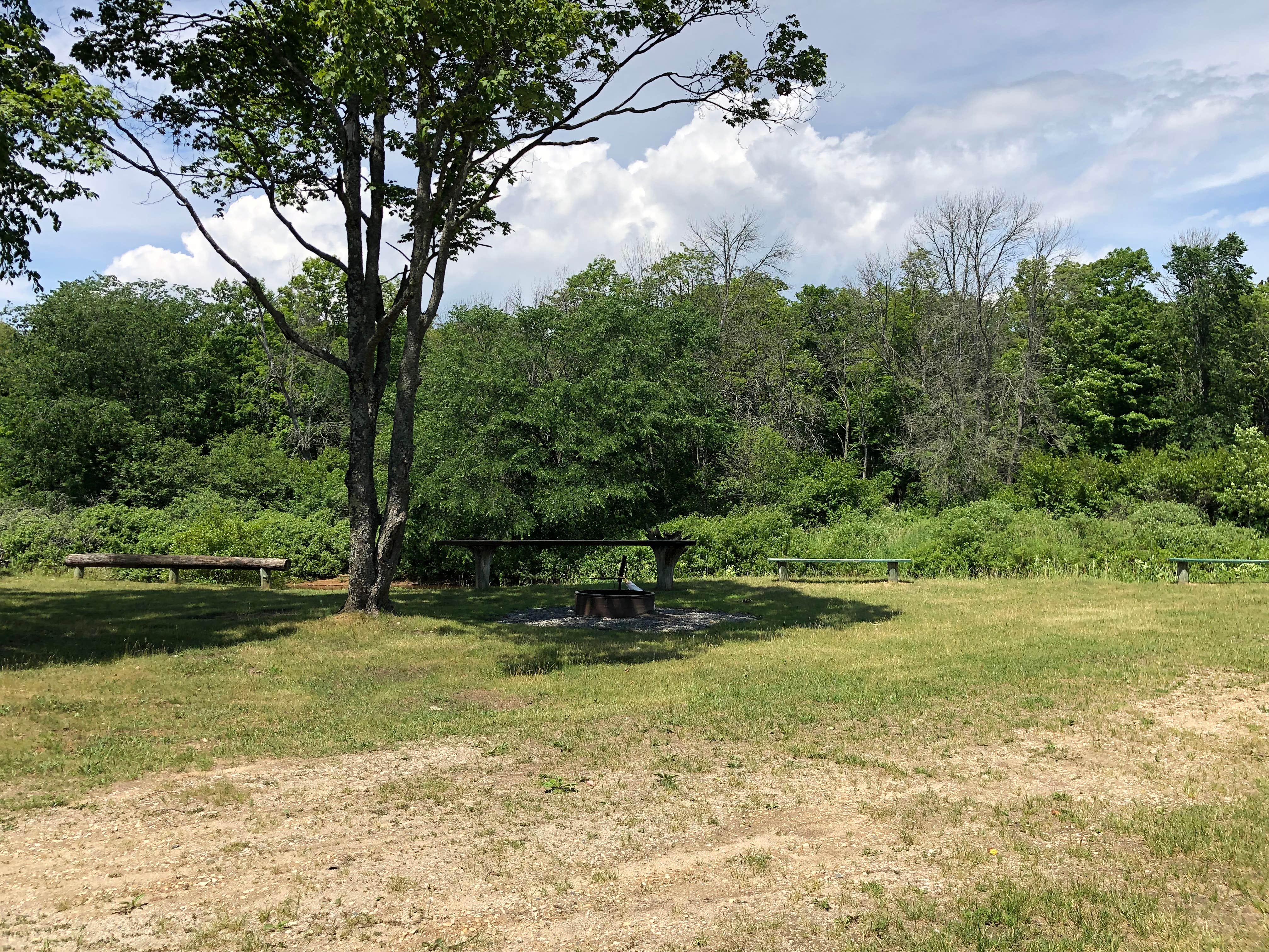Camper submitted image from Merwin Creek State Forest Campground - 5