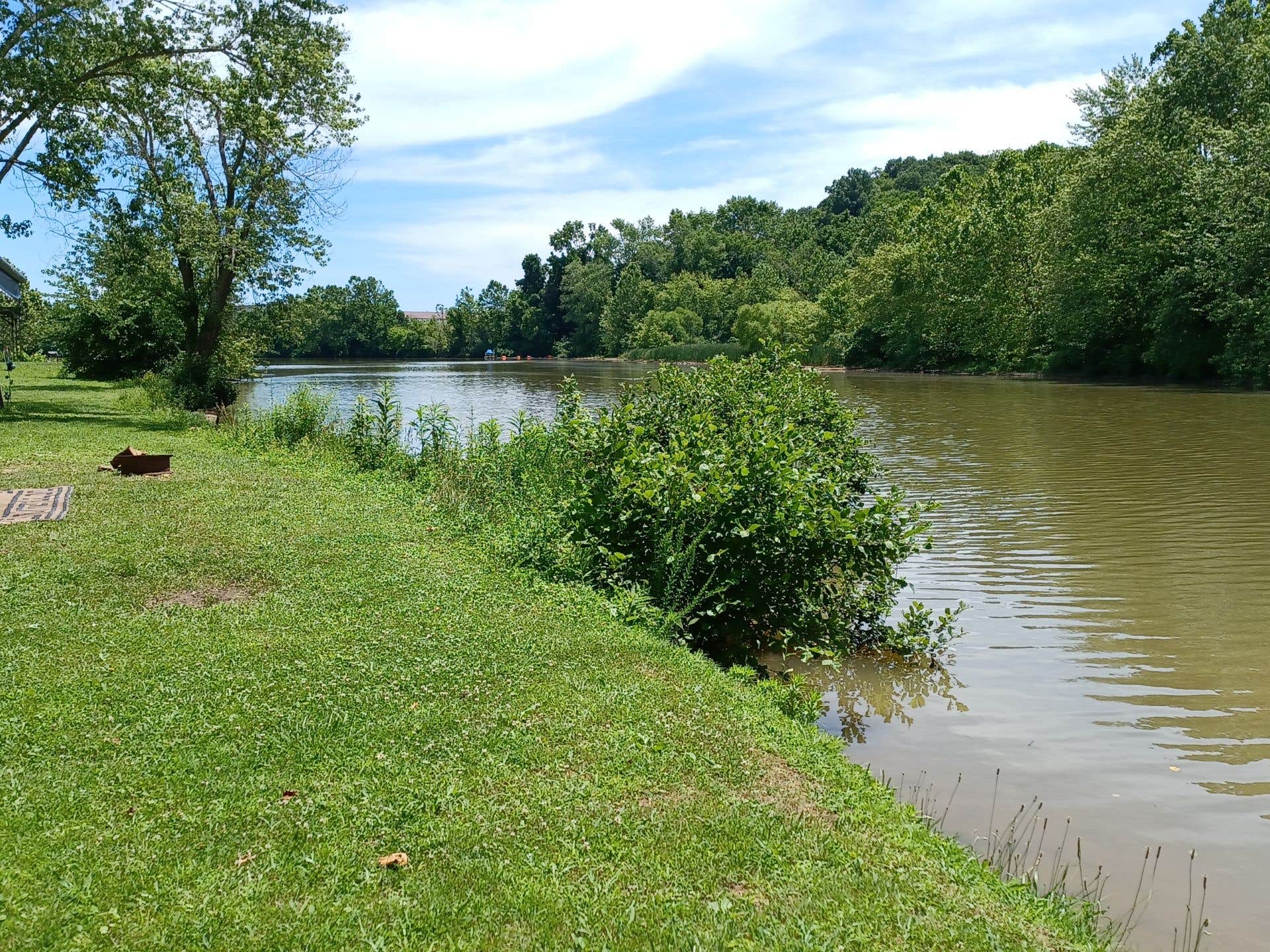 Camper submitted image from Little Bear Island Campground - 3