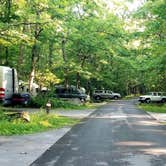 Review photo of Cades Cove Campground by Katrin M., June 30, 2021