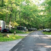 Review photo of Cades Cove Campground by Katrin M., June 30, 2021